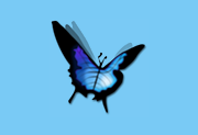 音乐播放器 Tunia 汉化版 | Tuniac(221229)-Puresys纯净系统-软件下载