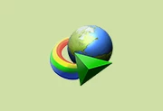 Internet Download Manager v6.42.41中文特别版(IDM)-Puresys纯净系统-软件下载